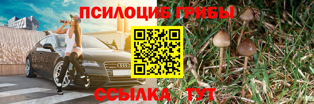 Псилоцибиновые грибы MAGIC MUSHROOMS Касимов