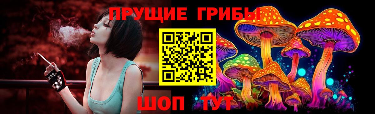 Галлюциногенные грибы MAGIC MUSHROOMS  продажа наркотиков  Вход с VPN  Касимов  Галлюциногенные грибы MAGIC MUSHROOMS 